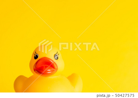 Rubber duck on yellow background minimal creative concept with text space, baby bath Rubber duck on yellow background minimal creative concept with text space, baby bath 50427575