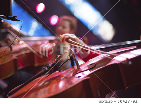 cello cello 50427793