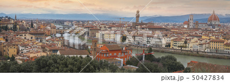 Florence city view from above 50427834