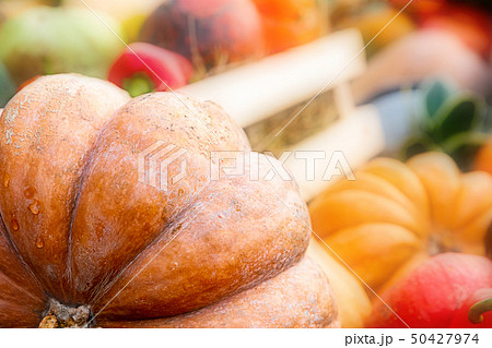 ripe big vegetable orange pumpkin ribbed soft ripe big vegetable orange pumpkin ribbed soft 50427974