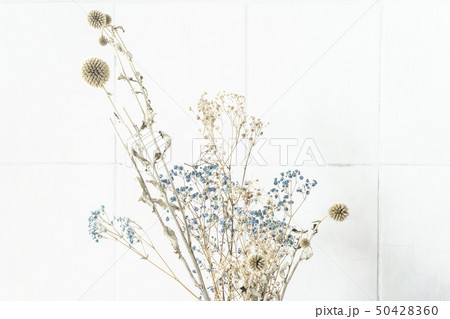 テーマ 主題 モチーフ 50428360