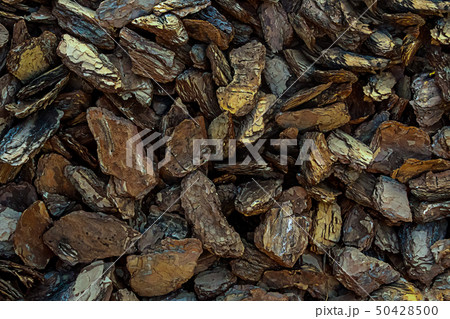 dark brown bark oak eco background close-up pieces dark brown bark oak eco background close-up pieces 50428500