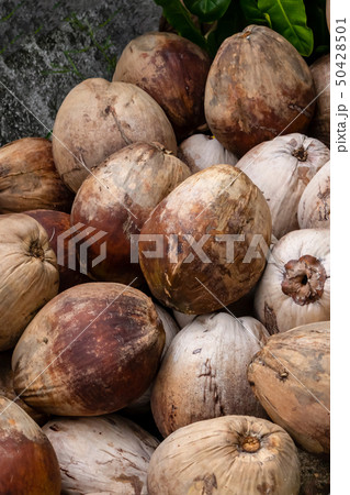 coconut brown fruit palm trees many nuts pile coconut brown fruit palm trees many nuts pile 50428501