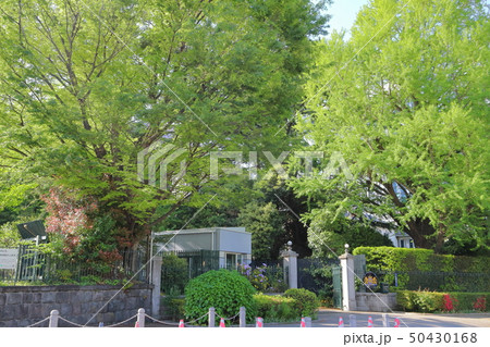 オランダ大使館 50430168