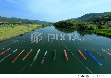 水中鯉のぼり 50430390