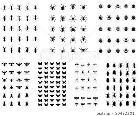 Black silhouettes of insects on white background 50432201