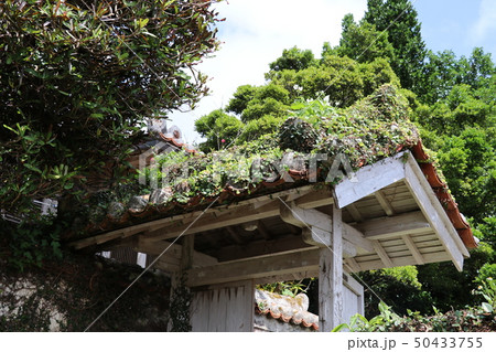 沖縄の風景・那覇・石畳の道・古民家（３） 50433755