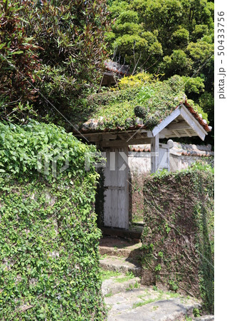 沖縄の風景・那覇・石畳の道・古民家（２） 50433756