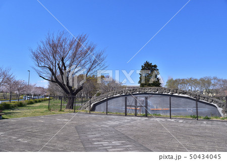 三鷹市・武蔵野の森公園掩体壕大沢1号 50434045