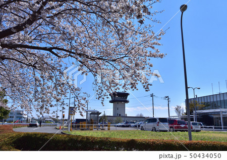 調布飛行場ターミナルと桜 50434050