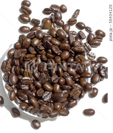 コーヒー豆 アラビカ種 焙煎 コーヒー豆 アラビカ種 焙煎 50434120