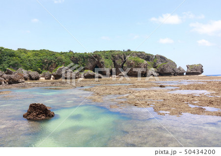 沖縄 糸満 イノー3 沖縄 糸満 イノー3 50434200