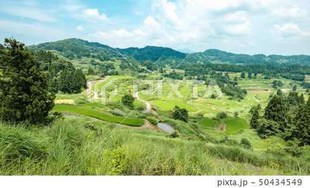 星峠の棚田 （7月） 50434549