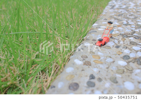 mini figure using push lawnmower mow yard 50435751