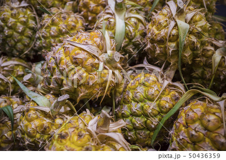 A pile of ripe yellow pineapple 50436359