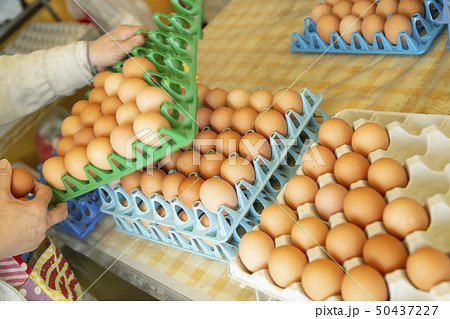 たまご　養鶏場直売　自販機 50437227