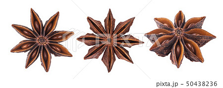 Anise star isolated on white background with clipping path Anise star isolated on white background with clipping path 50438236