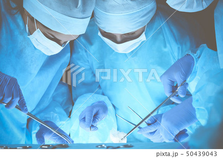 Group of surgeons at work while operating at hospital. Health care and veterinary concept Group of surgeons at work while operating at hospital. Health care and veterinary concept 50439043