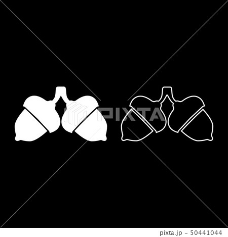 Two acorn icon set white color vector  50441044