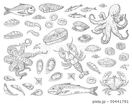 Hand drawn seafood. Octopus squid crab oyster and marine fish sketch drawing for restaurant menu Hand drawn seafood. Octopus squid crab oyster and marine fish sketch drawing for restaurant menu 50441791