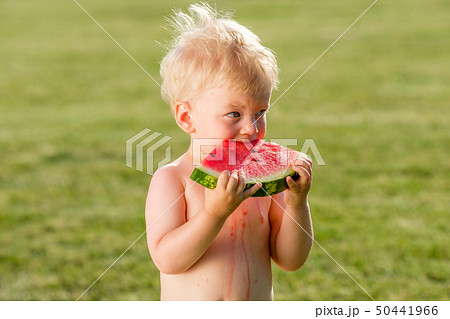 One year old baby boy eating watermelon in the 50441966