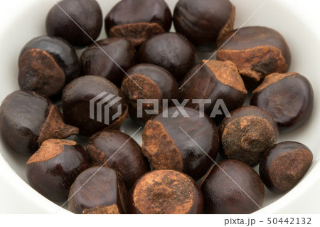 グアラナ ガラナ グァラナ 種子: Guarana seed グアラナ ガラナ グァラナ 種子: Guarana seed 50442132