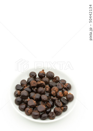 グアラナ ガラナ グァラナ 種子: Guarana seed グアラナ ガラナ グァラナ 種子: Guarana seed 50442134