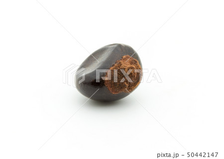 グアラナ ガラナ グァラナ 種子: Guarana seed グアラナ ガラナ グァラナ 種子: Guarana seed 50442147