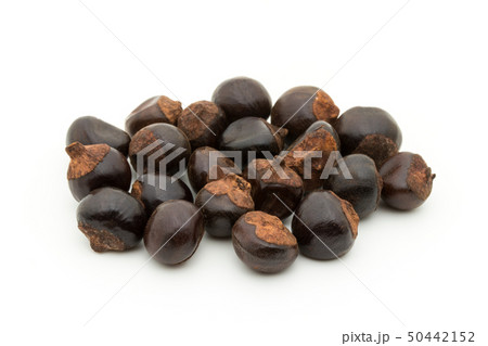 グアラナ ガラナ グァラナ 種子: Guarana seed グアラナ ガラナ グァラナ 種子: Guarana seed 50442152
