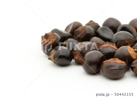 グアラナ ガラナ グァラナ 種子: Guarana seed グアラナ ガラナ グァラナ 種子: Guarana seed 50442155