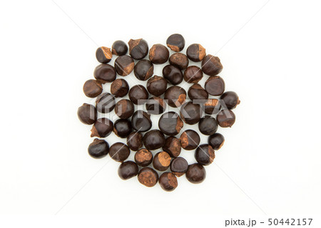 グアラナ ガラナ グァラナ 種子: Guarana seed グアラナ ガラナ グァラナ 種子: Guarana seed 50442157