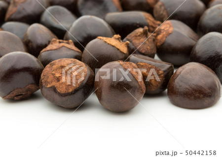 グアラナ ガラナ グァラナ 種子: Guarana seed グアラナ ガラナ グァラナ 種子: Guarana seed 50442158