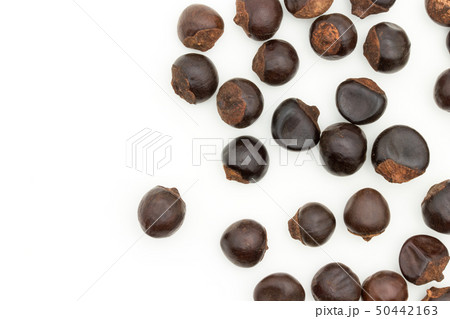 グアラナ　ガラナ　グァラナ　種子: Guarana seed 50442163