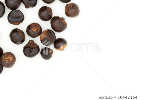 グアラナ ガラナ グァラナ 種子: Guarana seed グアラナ ガラナ グァラナ 種子: Guarana seed 50442164