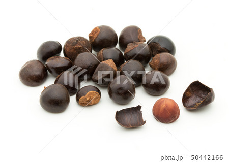 グアラナ　ガラナ　グァラナ　種子: Guarana seed 50442166