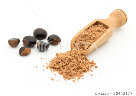 グアラナ ガラナ グァラナ 種子 パウダー 粉末: Guarana seed powder グアラナ ガラナ グァラナ 種子 パウダー 粉末: Guarana seed powder 50442177