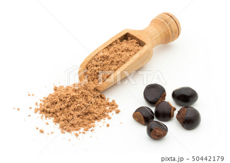 グアラナ　ガラナ　グァラナ　種子　パウダー　粉末: Guarana seed powder 50442179