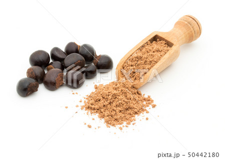 グアラナ ガラナ グァラナ 種子 パウダー 粉末: Guarana seed powder グアラナ ガラナ グァラナ 種子 パウダー 粉末: Guarana seed powder 50442180