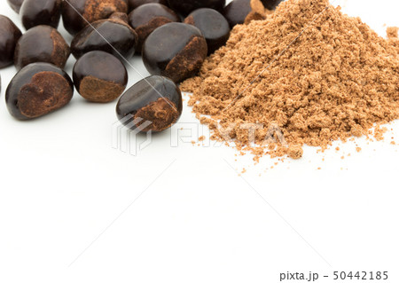 グアラナ ガラナ グァラナ 種子 パウダー 粉末: Guarana seed powder グアラナ ガラナ グァラナ 種子 パウダー 粉末: Guarana seed powder 50442185