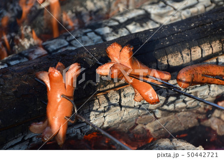 魔女の火炙り祭りの焼きソーセージ - プラハ チェコ共和国 50442721