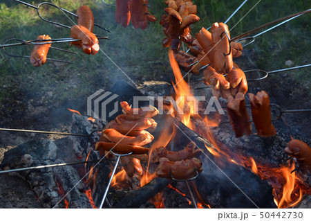 魔女の火炙り祭りの焼きソーセージ - プラハ チェコ共和国 魔女の火炙り祭りの焼きソーセージ - プラハ チェコ共和国 50442730