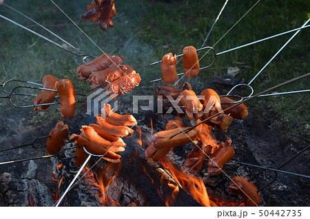 魔女の火炙り祭りの焼きソーセージ - プラハ チェコ共和国 魔女の火炙り祭りの焼きソーセージ - プラハ チェコ共和国 50442735