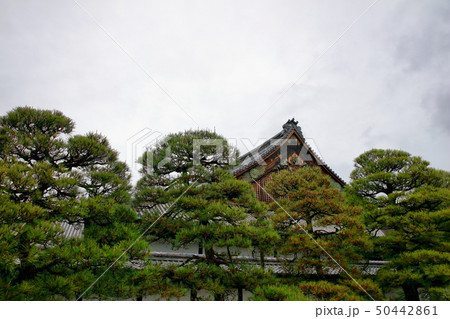 二条城 二条城 50442861