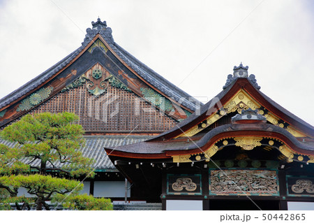 二条城 二条城 50442865