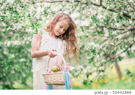 Adorable little girl in blooming apple garden on beautiful spring day 50442866