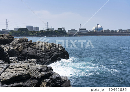 海越しに望む玄海原発 50442886