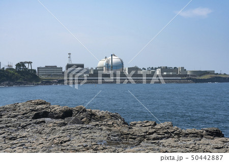 海越しに望む玄海原発 50442887