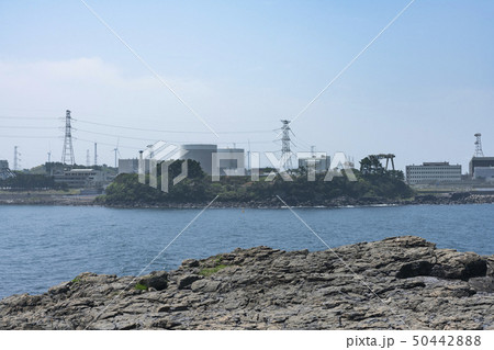 海越しに望む玄海原発 50442888