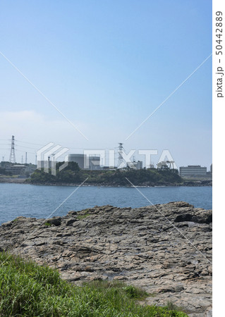海越しに望む玄海原発 50442889
