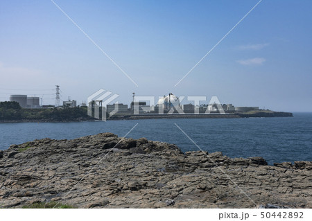 海越しに望む玄海原発 50442892